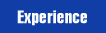 Experience